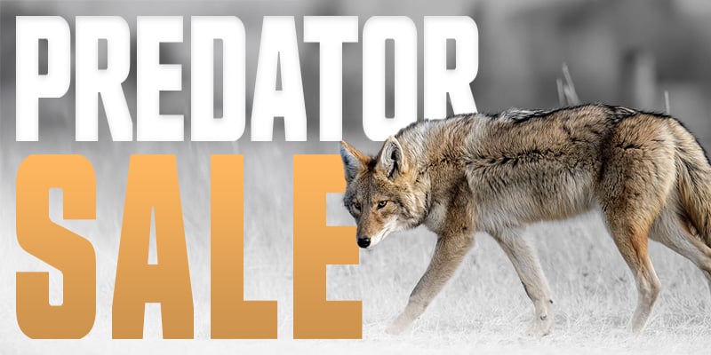 2025 Predator Sale